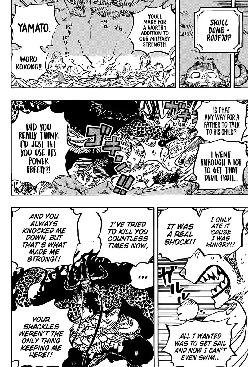 One Piece Chapter 1019: Triceracopter – Page 18
