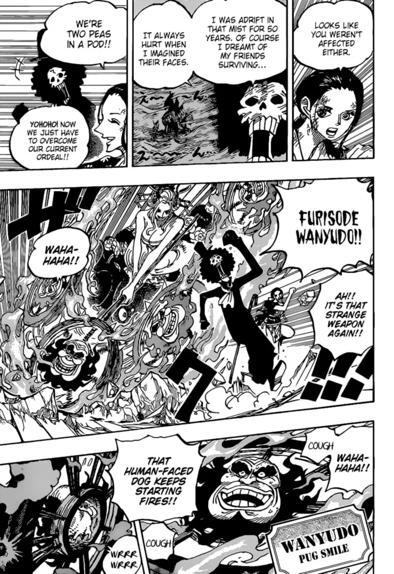 One Piece Chapter 1020: Robin VS Black Maria – Page 9