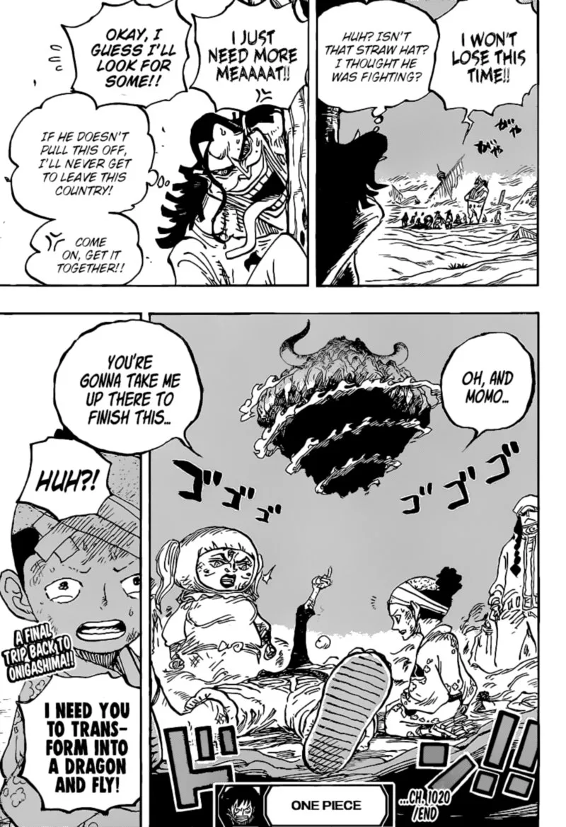 One Piece Chapter 1020: Robin VS Black Maria – Page 17