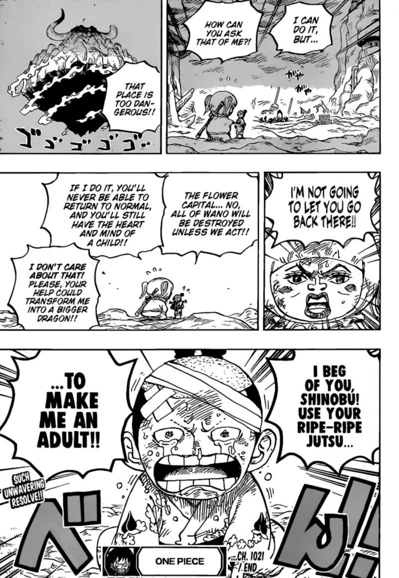 One Piece Chapter 1021: Demonio – Page 16