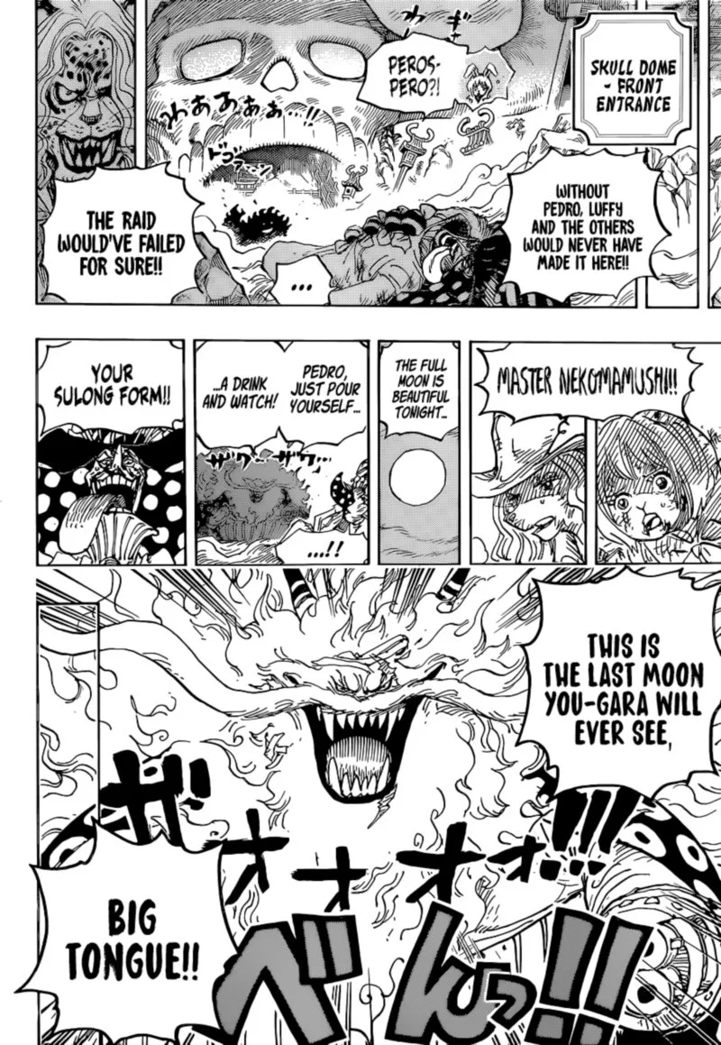 One Piece Chapter 1023: Two Peas in a Pod – Page 15
