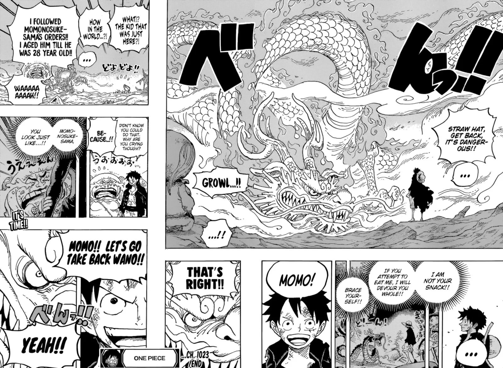 One Piece Chapter 1023: Two Peas in a Pod – Page 17