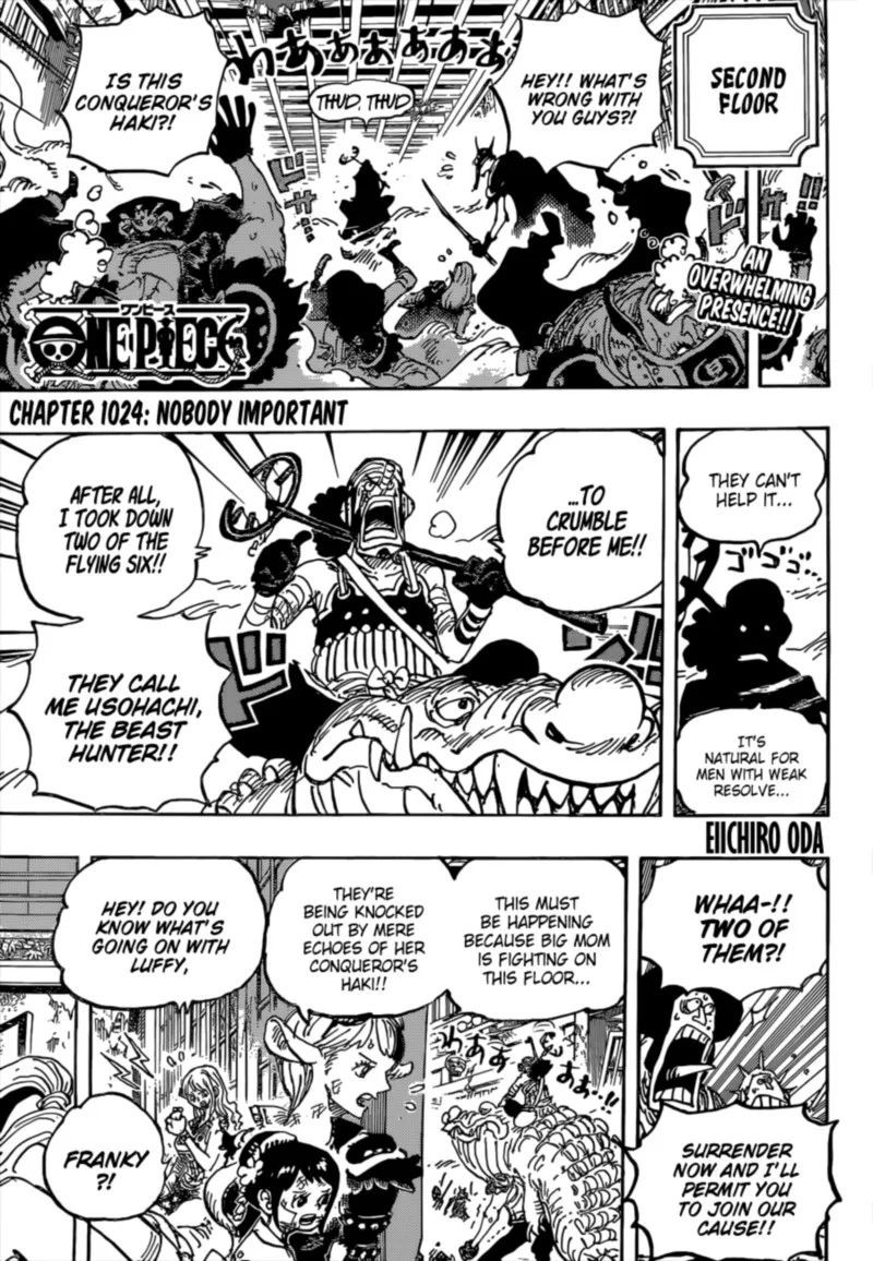 One Piece Chapter 1024: Nobody Important – Page 3