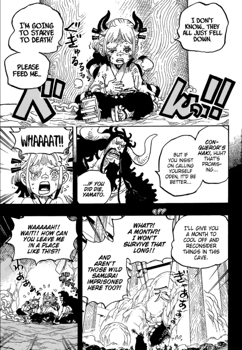 One Piece Chapter 1024: Nobody Important – Page 11