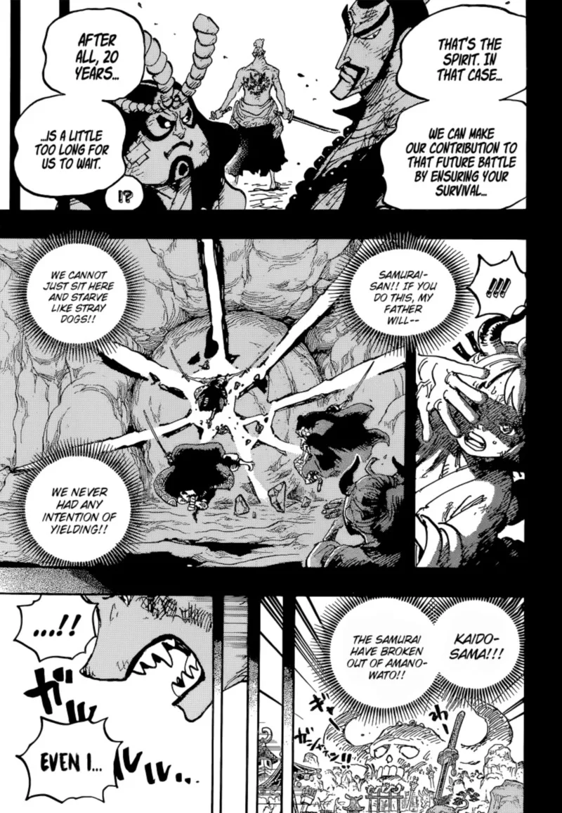One Piece Chapter 1024: Nobody Important – Page 17