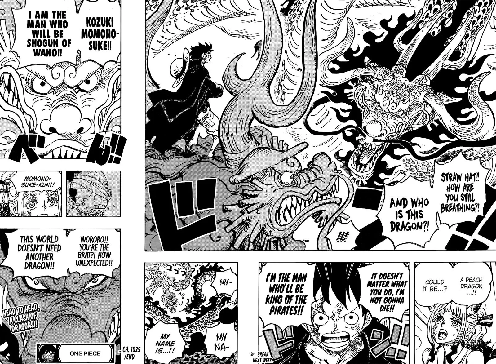 One Piece Chapter 1025: Twin Dragons* – Page 15