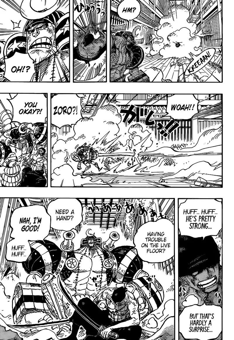 One Piece Chapter 1027: An Unbelievable Disaster – Page 13