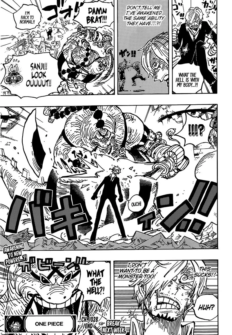 One Piece Chapter 1028: Brachiosaur-Hiss – Page 17