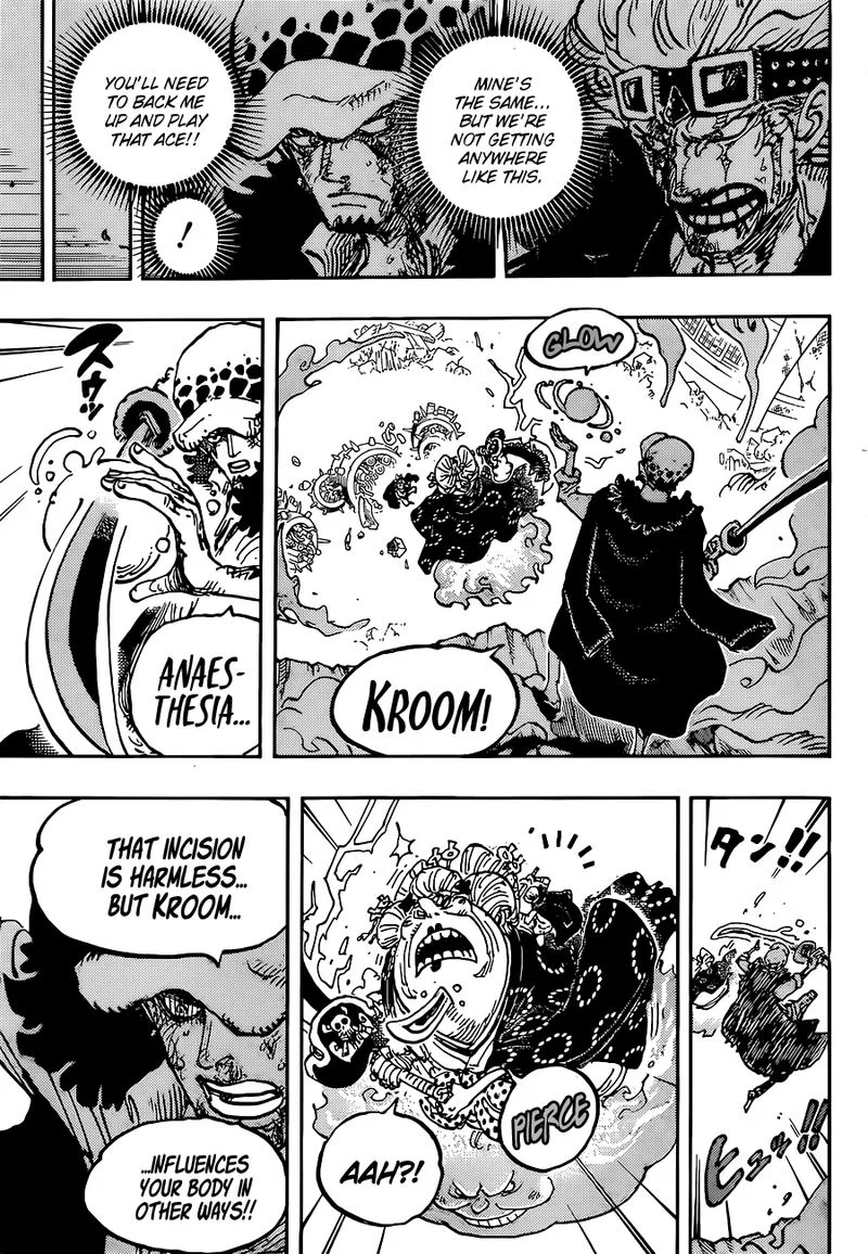 One Piece Chapter 1030: The Impermanence of All Things – Page 14