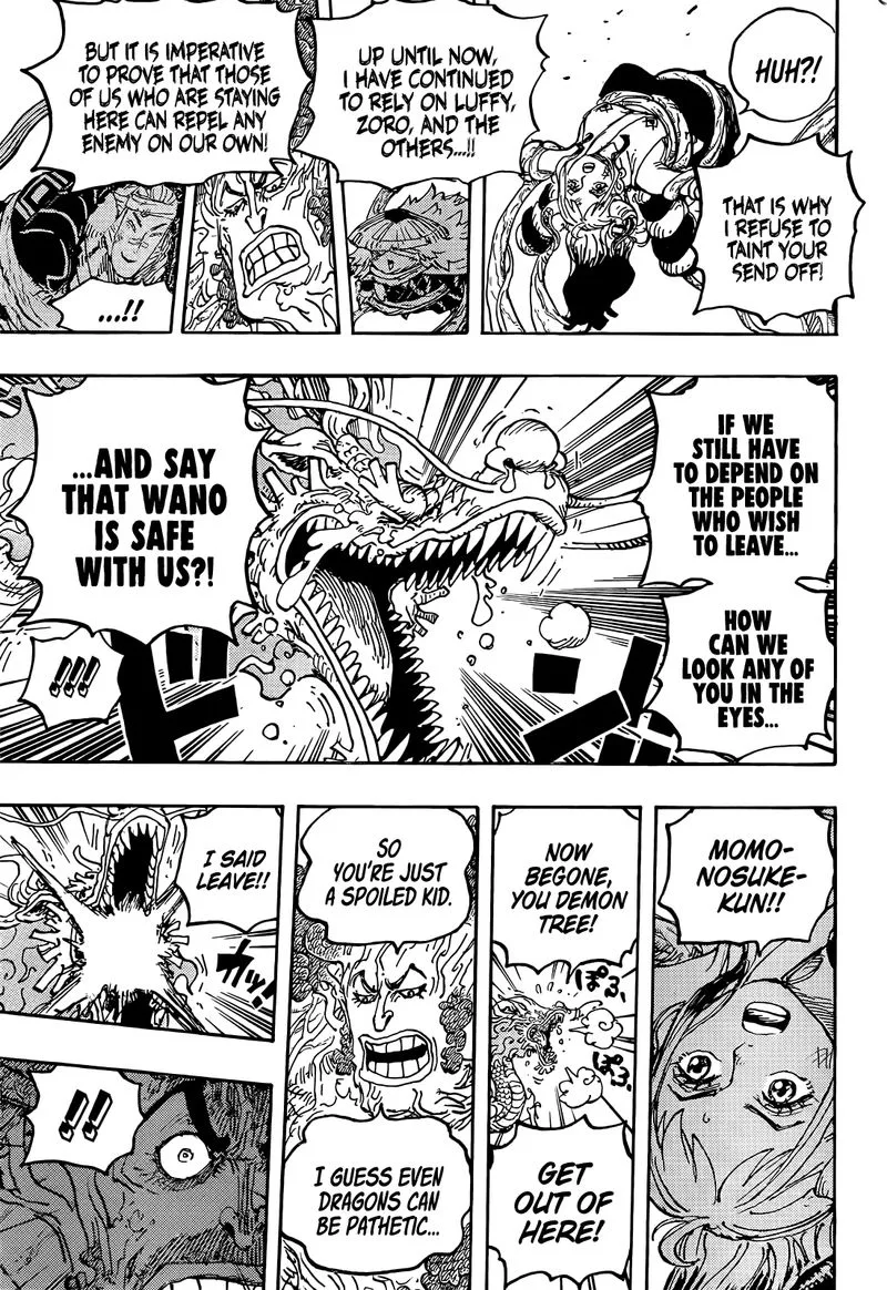 One Piece Chapter 1055: New Age – Page 13
