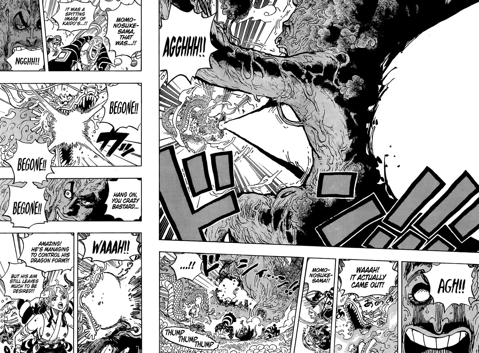One Piece Chapter 1055: New Age – Page 14