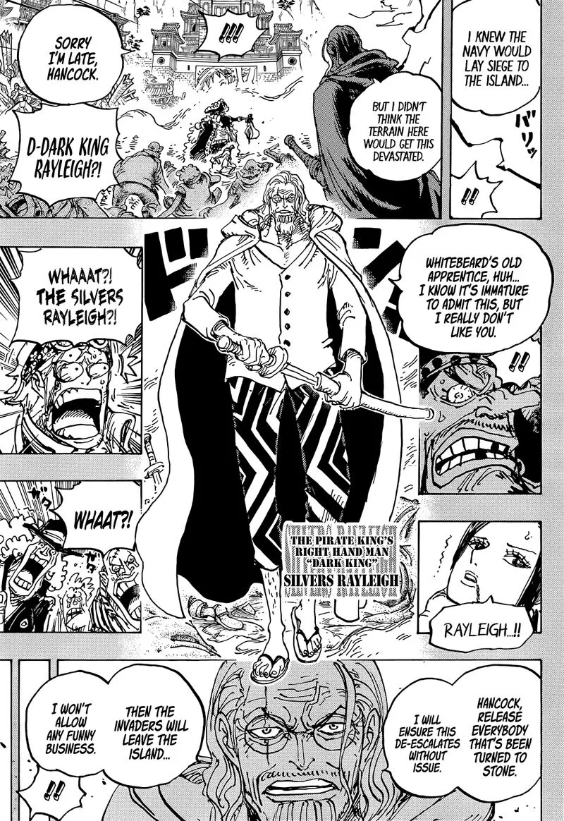 One Piece Chapter 1059: The Captain Koby Incident – Page 14