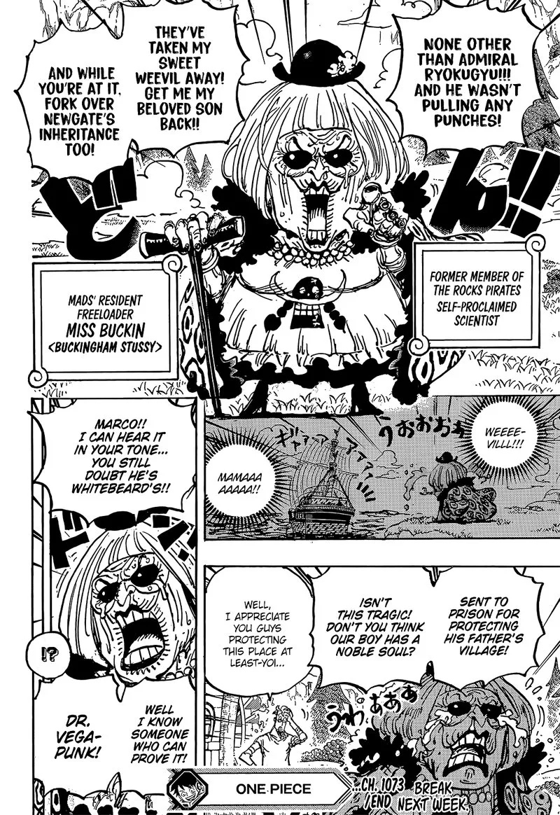 One Piece Chapter 1073: Miss Buckingham Stussy – Page 14