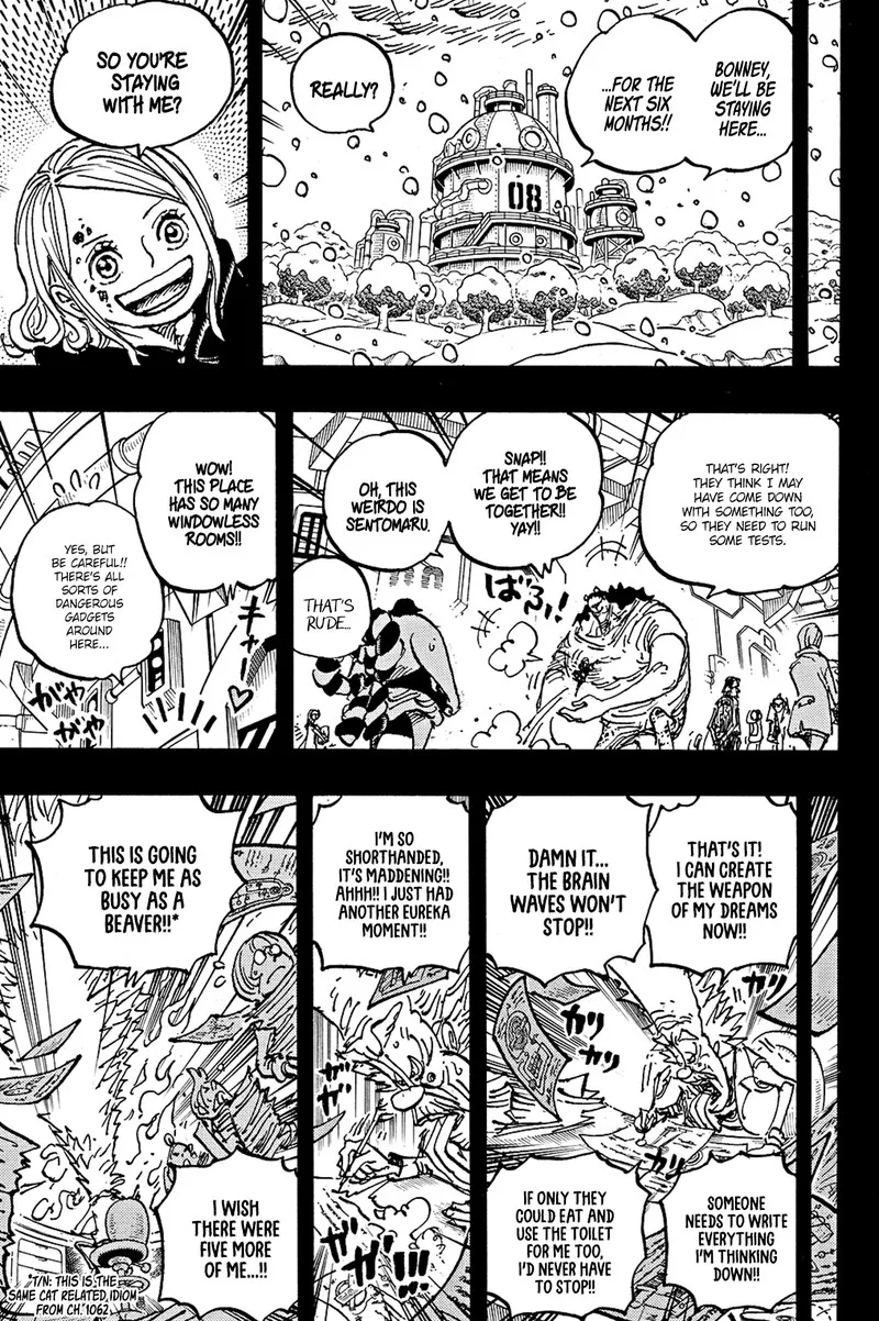 One Piece Chapter 1100: Thank you Bonney – Page 9