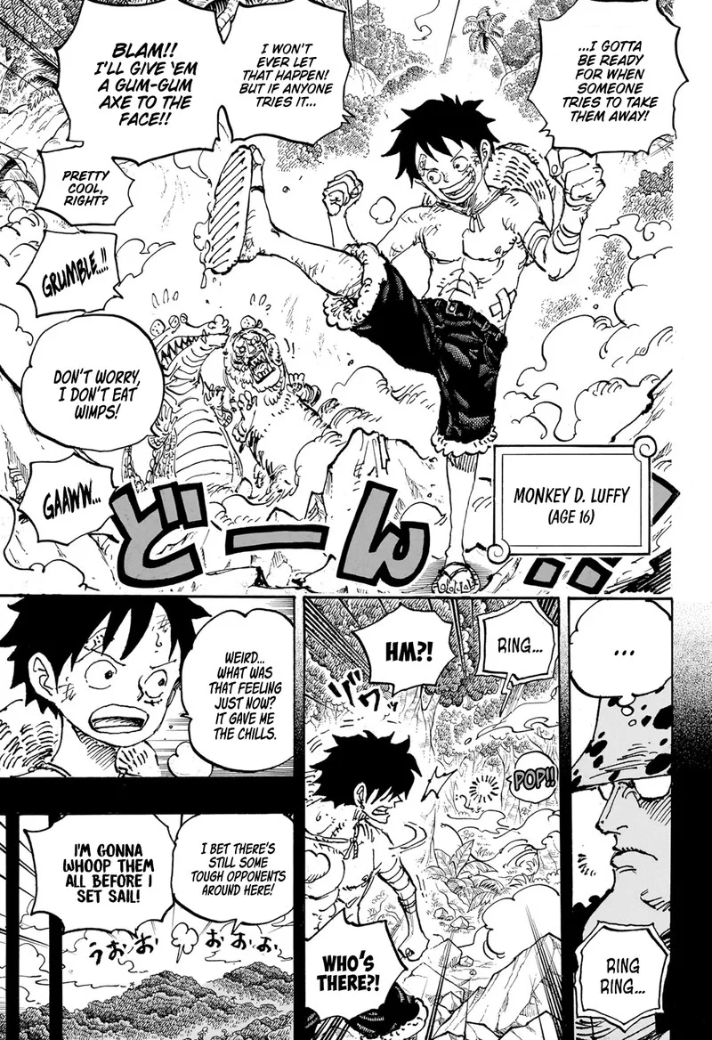 One Piece Chapter 1101: Dear Bonney – Page 5