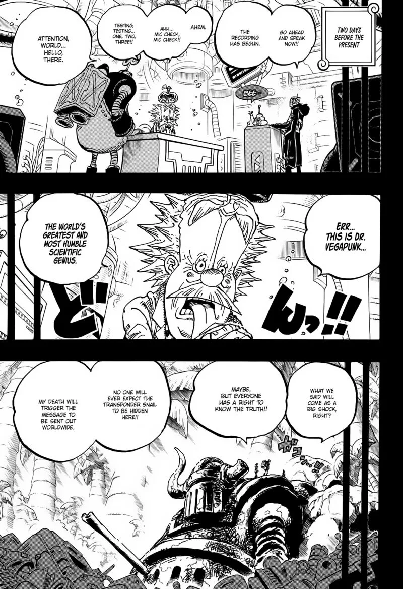 One Piece Chapter 1123: The Void Fortnight – Page 13