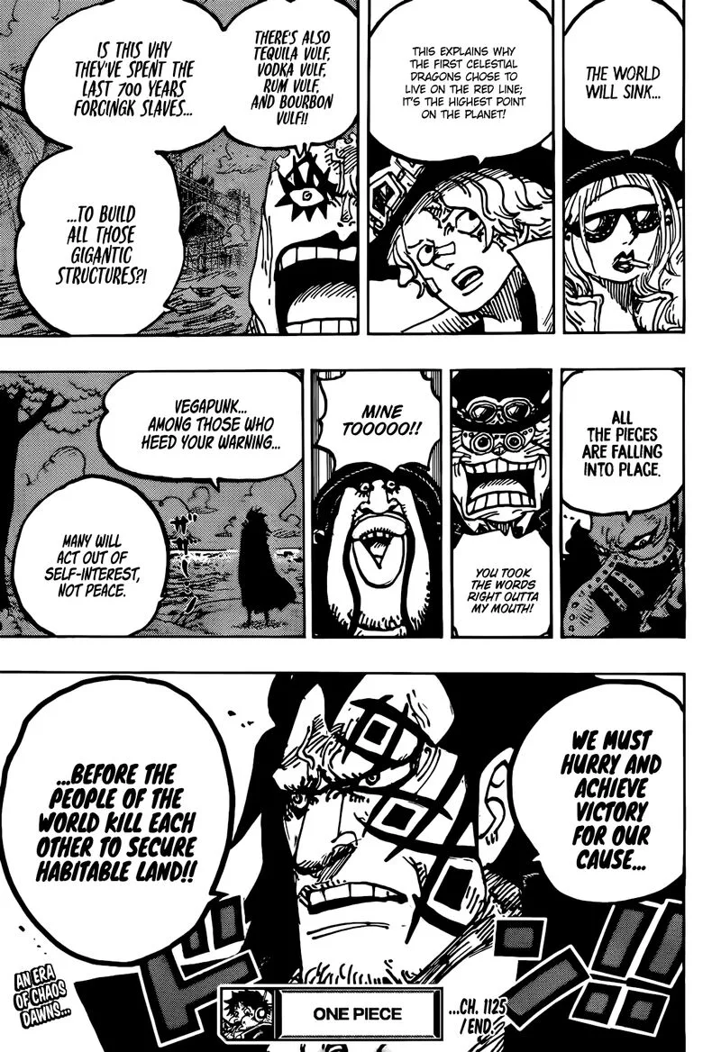 One Piece Chapter 1125 – Page 17