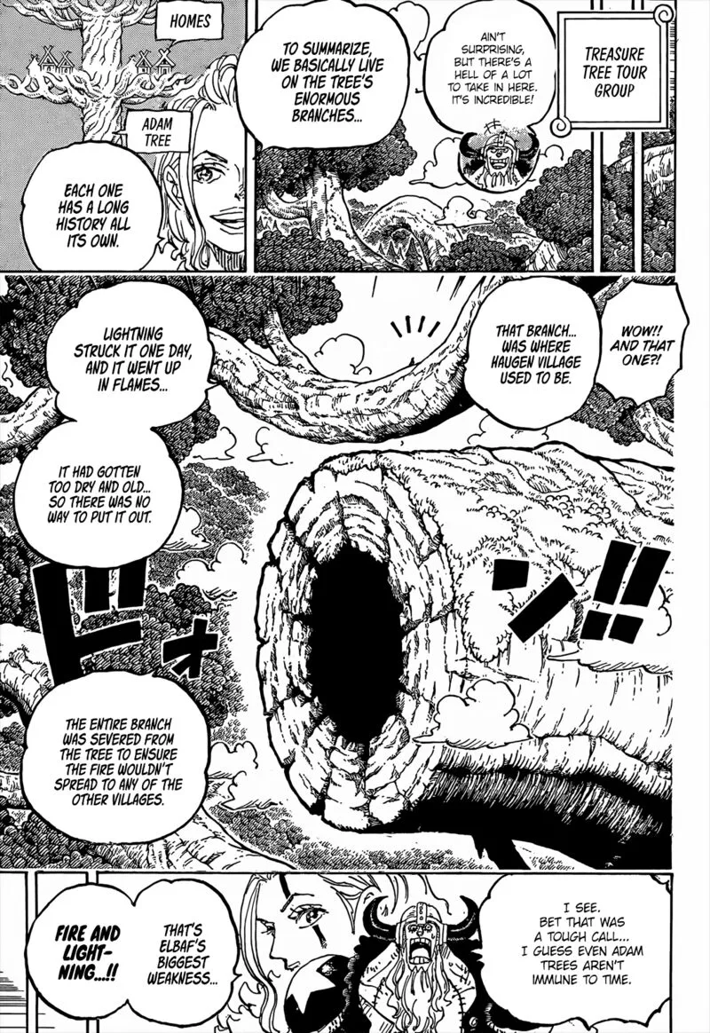 One Piece Chapter 1141: Older Women – Page 4