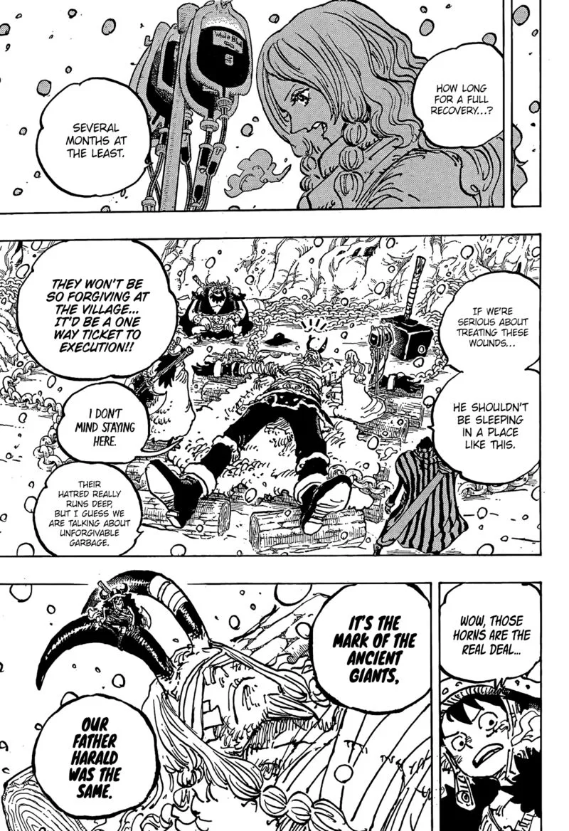 One Piece Chapter 1143: God’s Knights – Page 16