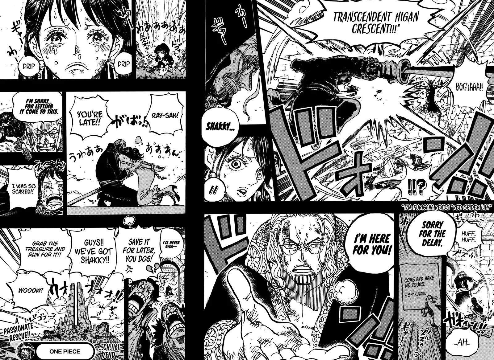 One Piece Chapter 1161: A Love Ballad in a Hail of Arrows – Page 15