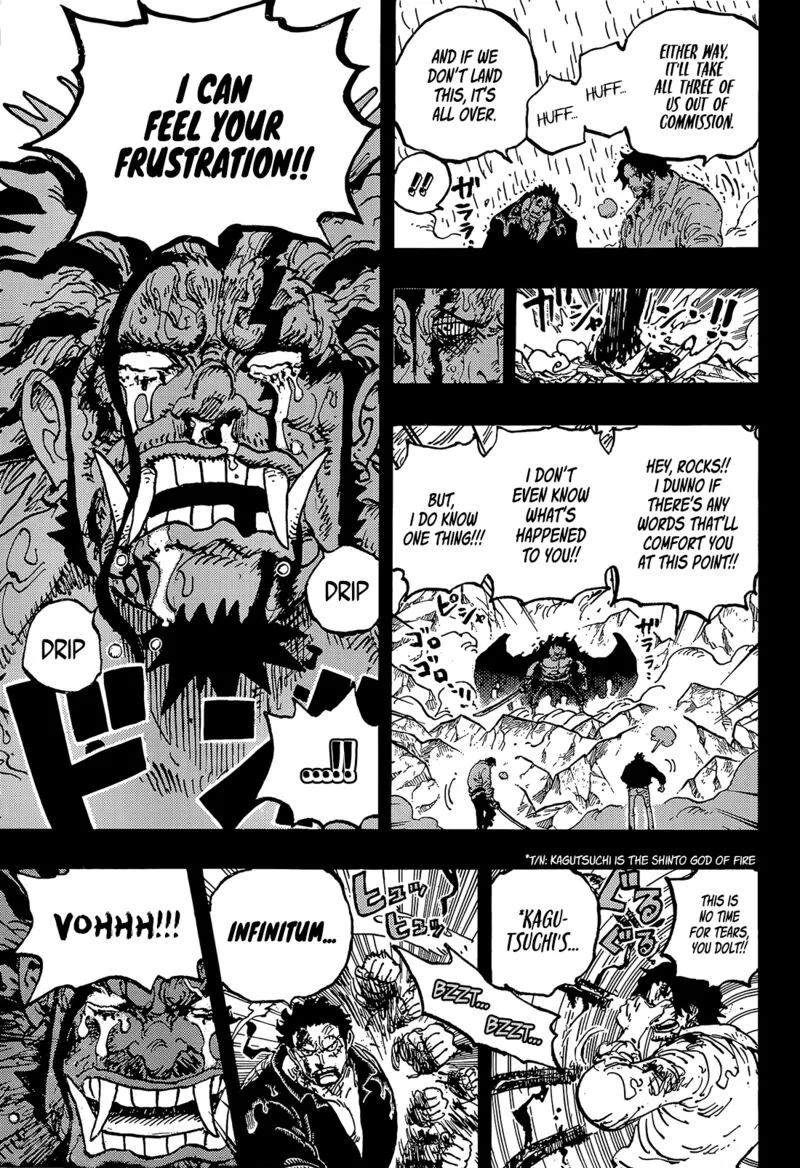 One Piece Chapter 1165: Echo – Page 15