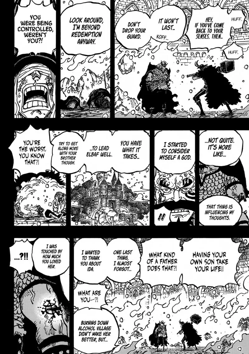 One Piece Chapter 1170: Contradictions – Page 15