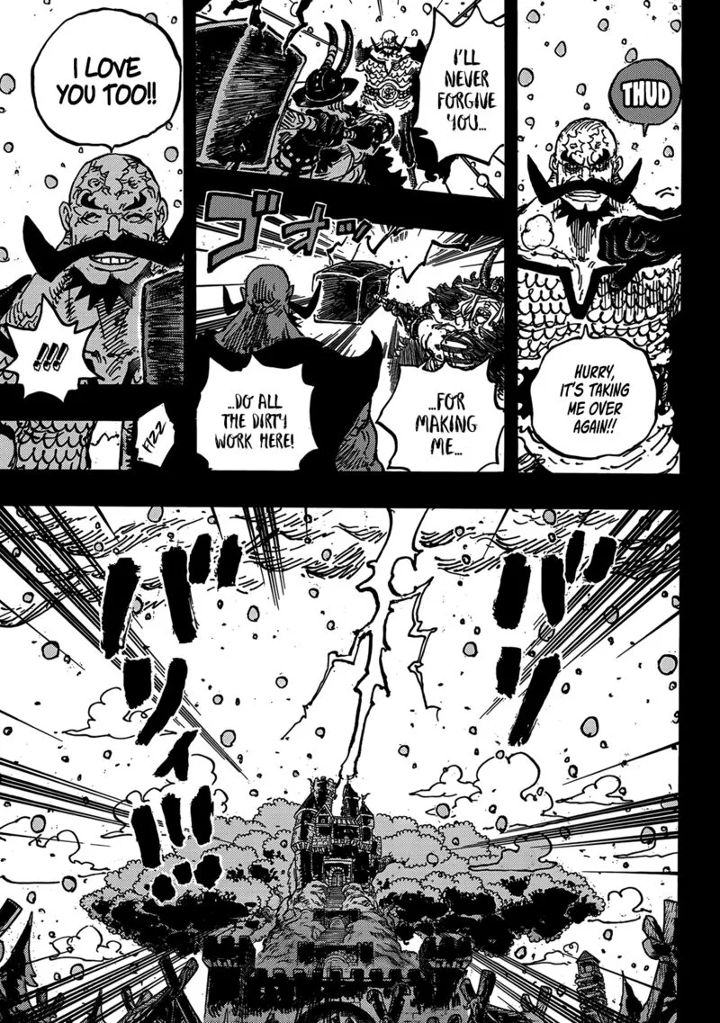 One Piece Chapter 1170: Contradictions – Page 16