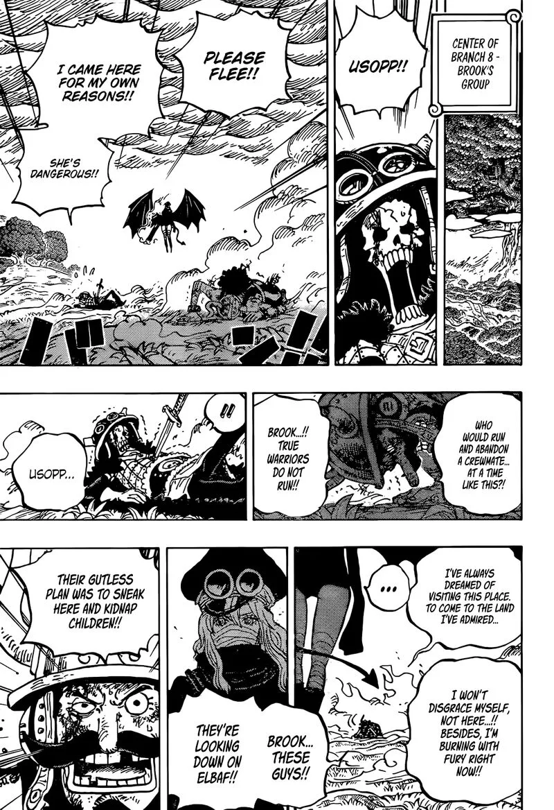 One Piece Chapter 1177: Fury – Page 14