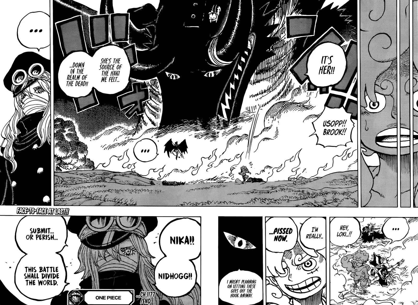 One Piece Chapter 1177: Fury – Page 17