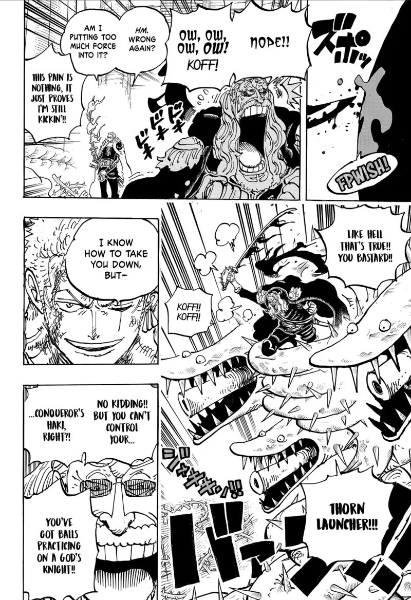 One Piece Chapter 1194: The Impermanence of All Things – Page 5