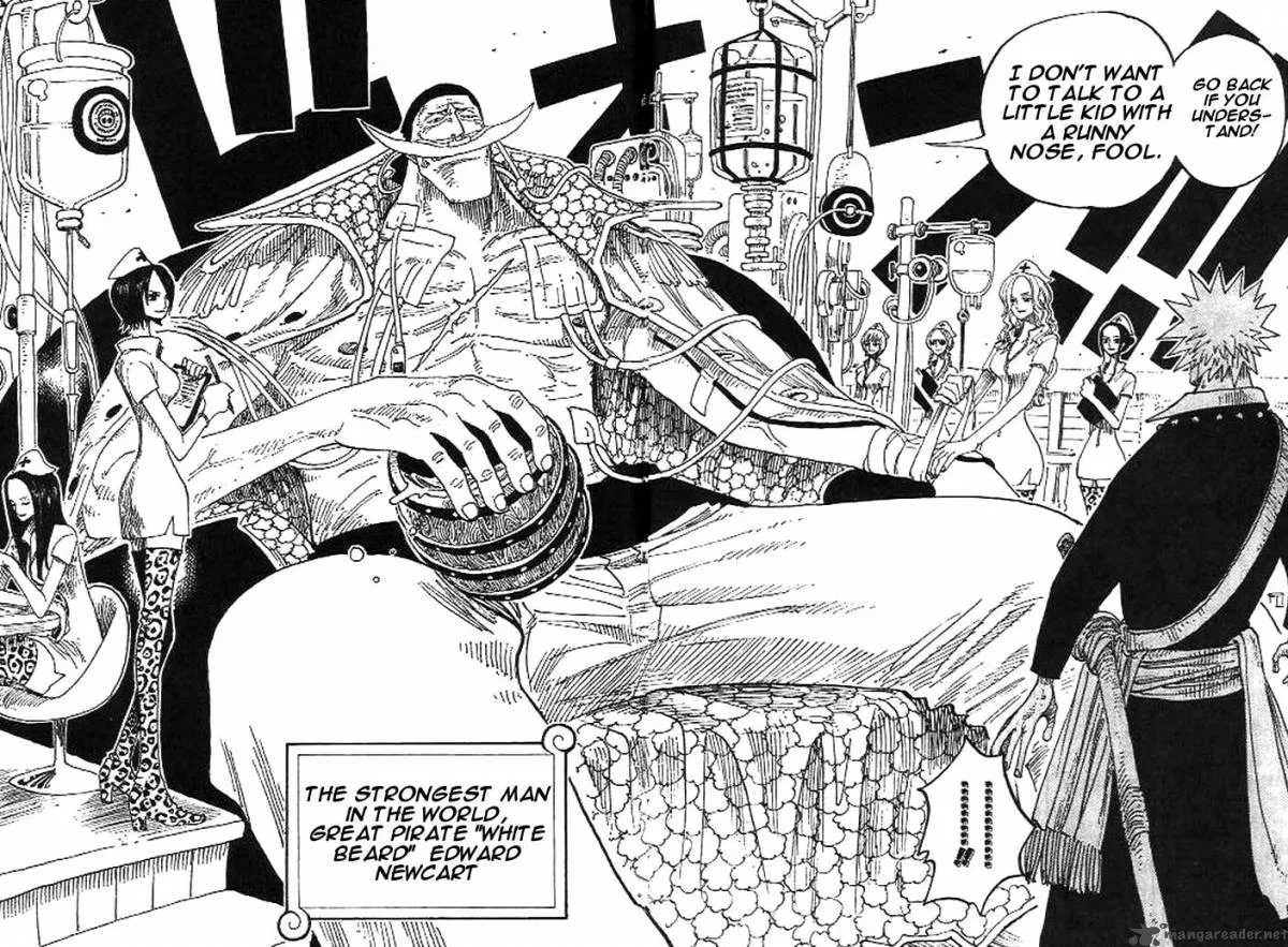 One Piece Chapter 234: Please Remember That! – Page 12