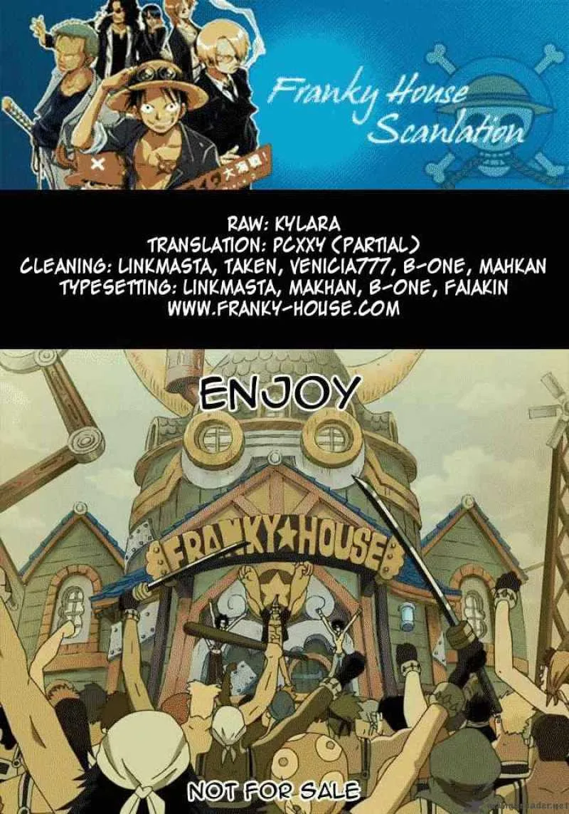 One Piece Chapter 482: Arrival of Dawn – Page 17