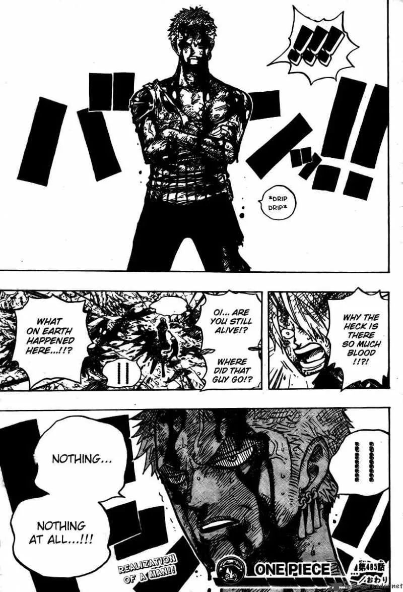 One Piece Chapter 485: Member of the Strawhat Crew - Pirate Hunter Zoro – Page 19