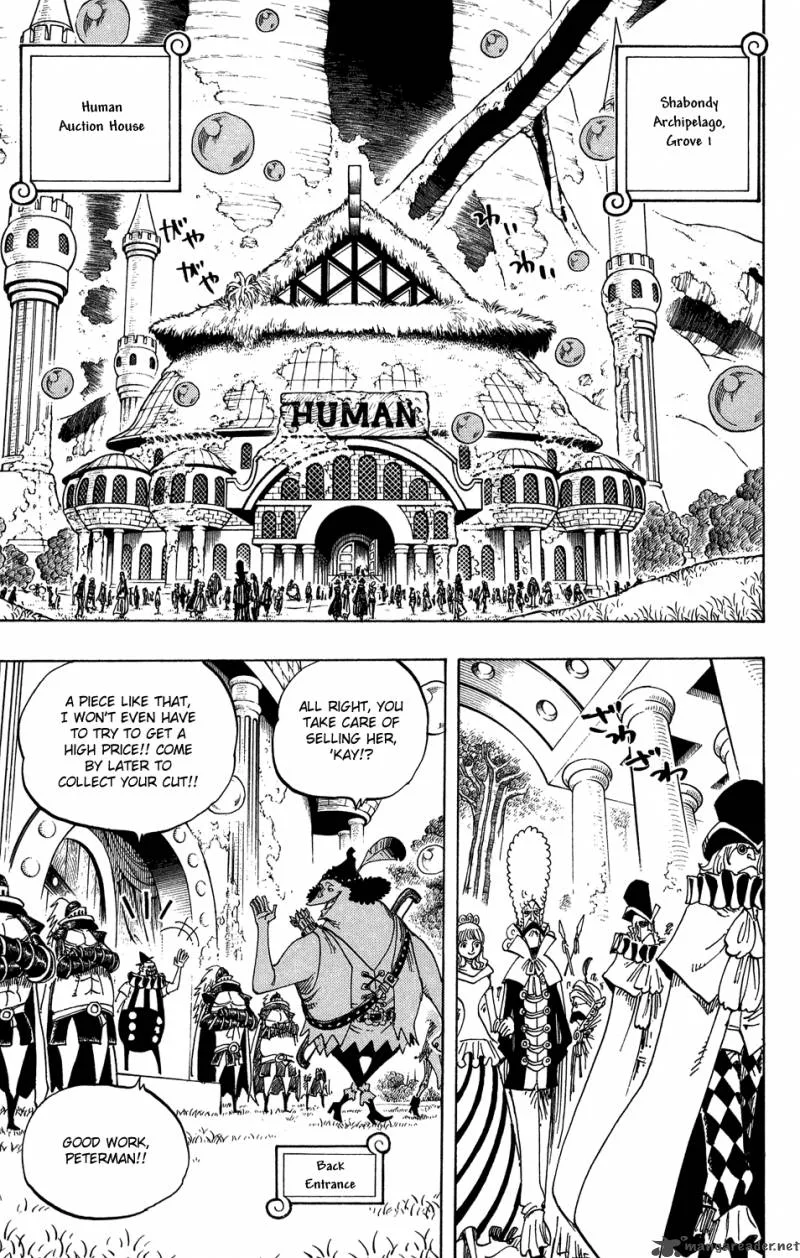 One Piece Chapter 500: Embers of the Past – Page 13