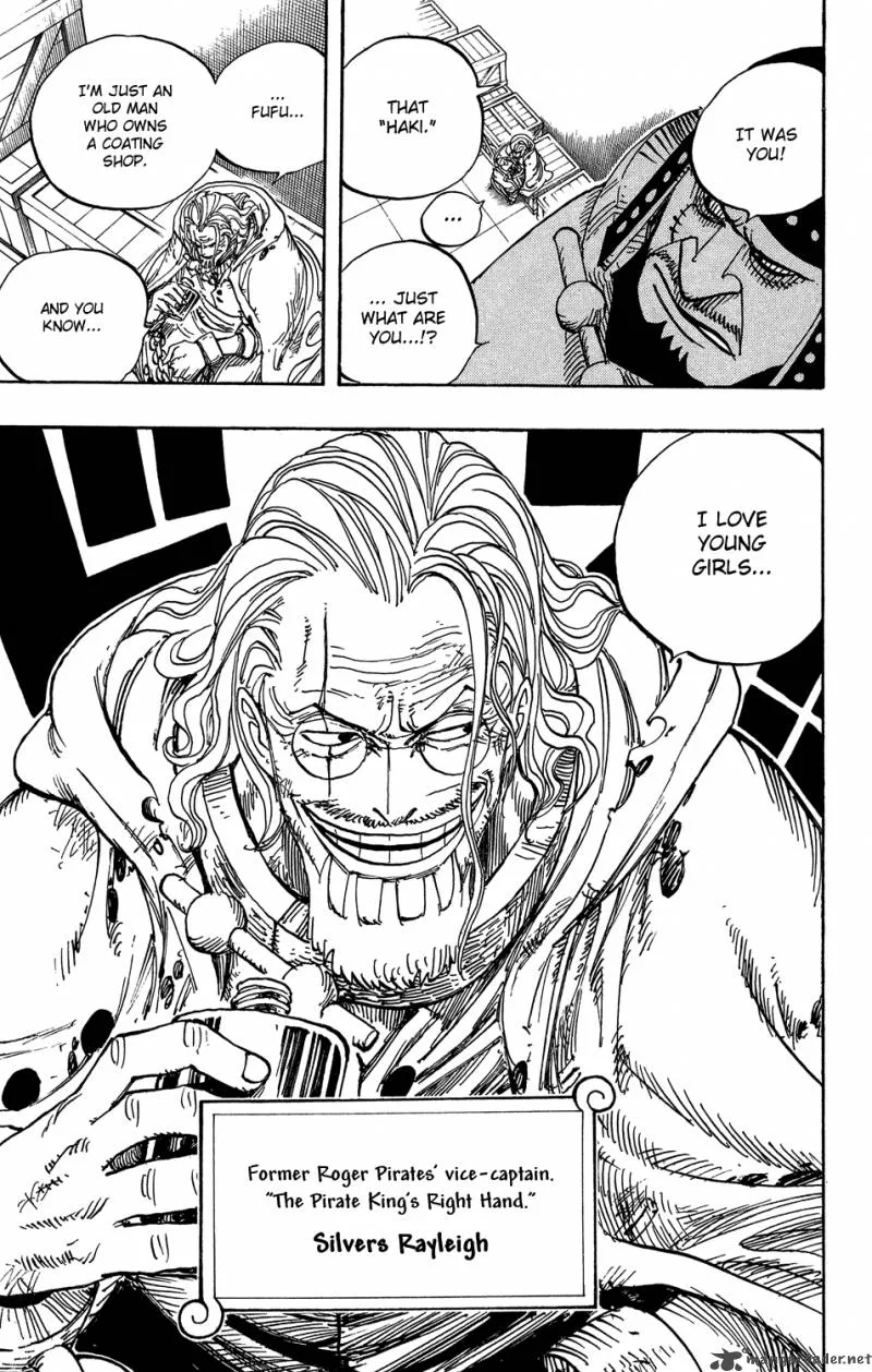 One Piece Chapter 500: Embers of the Past – Page 19