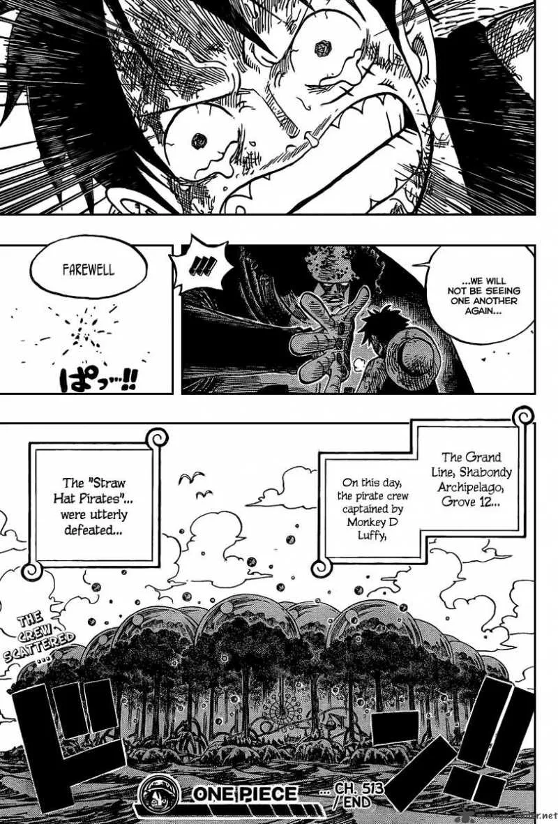 One Piece Chapter 513: I Couldn't Even – Page 18