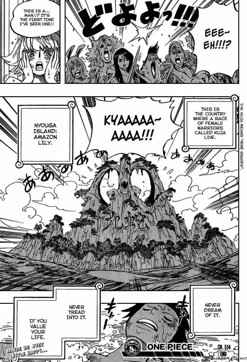 One Piece Chapter 514: Mushrooms Growing Out of Your Body Shroom – Page 18