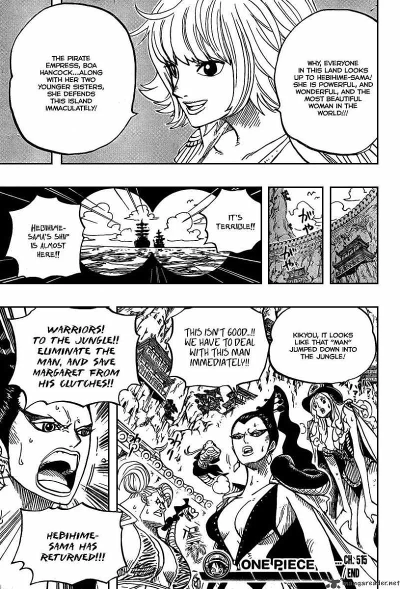 One Piece Chapter 515: Adventures on the Isle of Women – Page 18