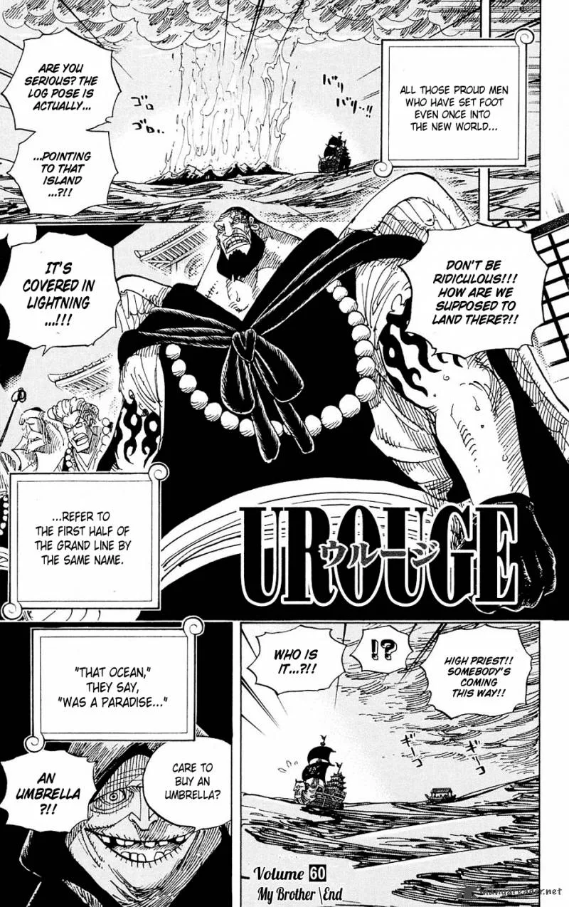 One Piece Chapter 594: Message – Page 18