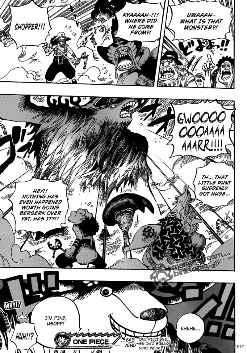 One Piece Chapter 645: Death is Also Revenge – Page 17