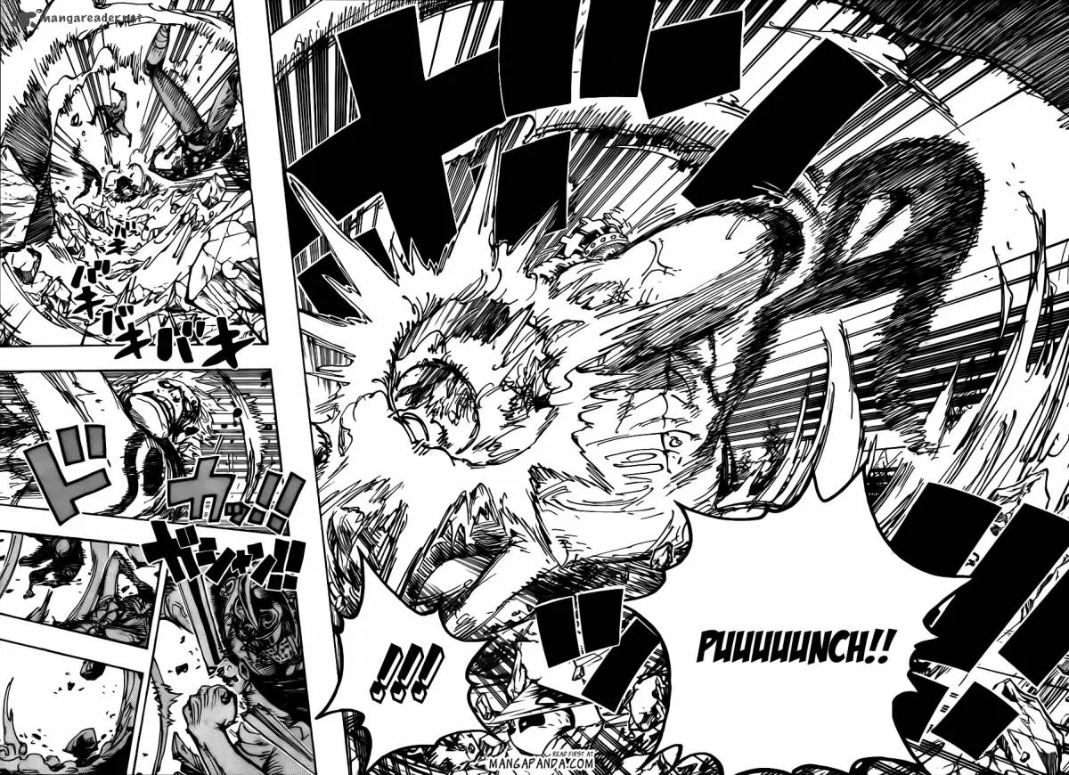 One Piece Chapter 709: King Punch!! – Page 14