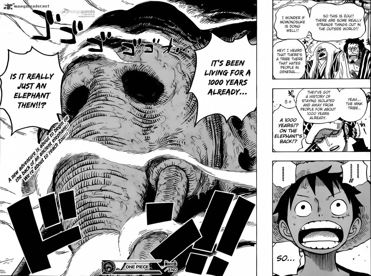 One Piece Chapter 802: Zou – Page 15