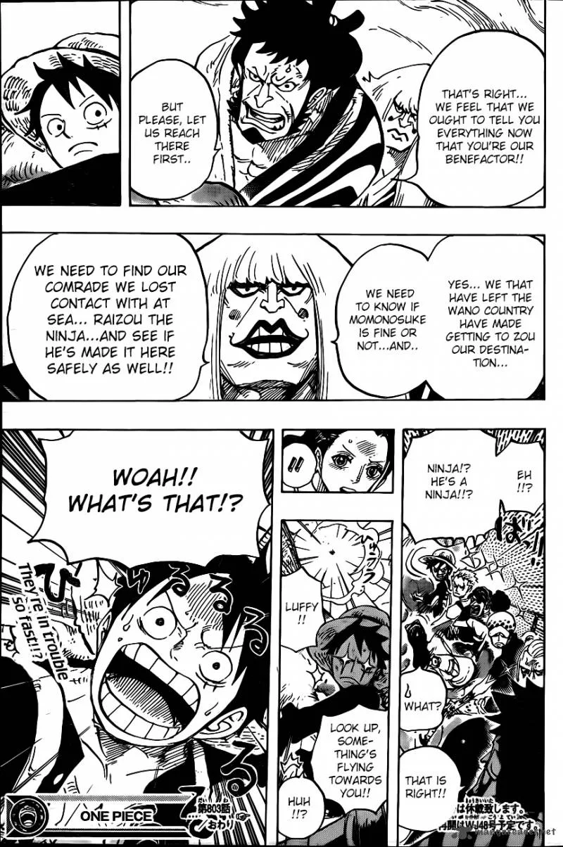 One Piece Chapter 803: Climbing the Elephant – Page 13