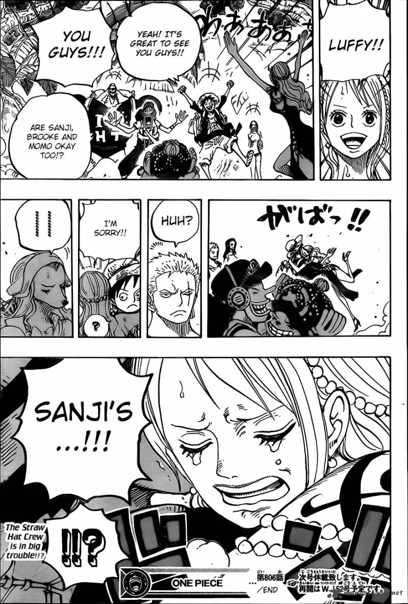 One Piece Chapter 806: At the Fort on the Right Belly – Page 16