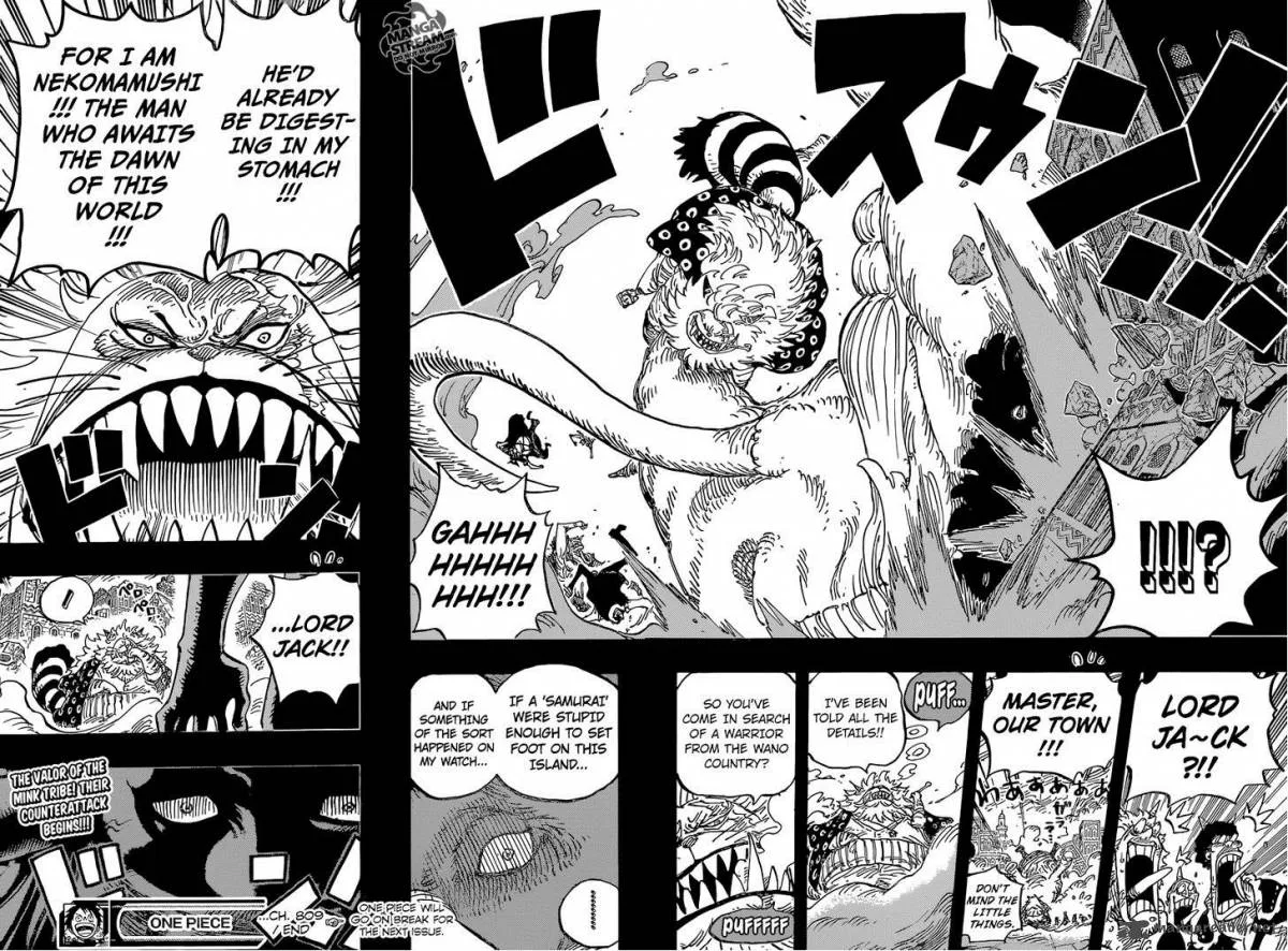 One Piece Chapter 809: Master Nekomamushi – Page 18