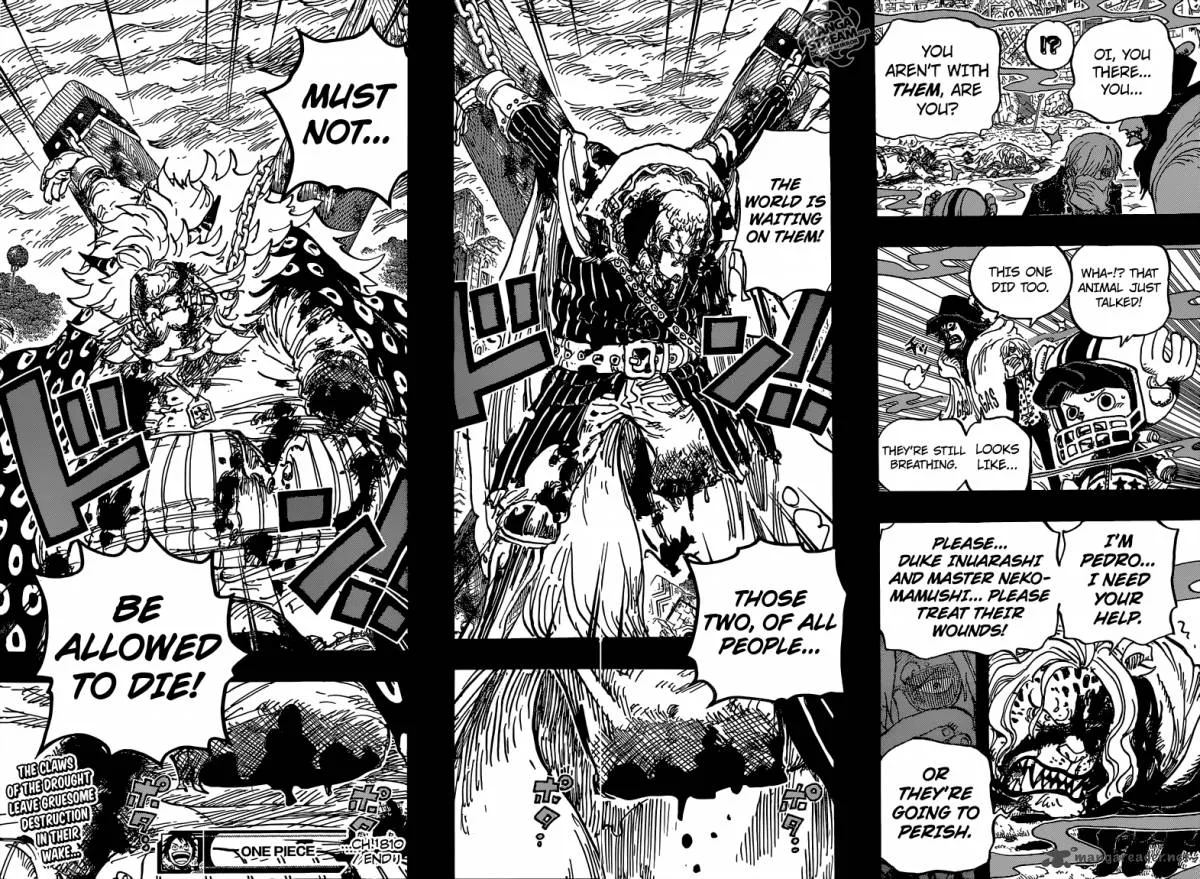 One Piece Chapter 810: The Curly Hat Pirates Arrive – Page 18