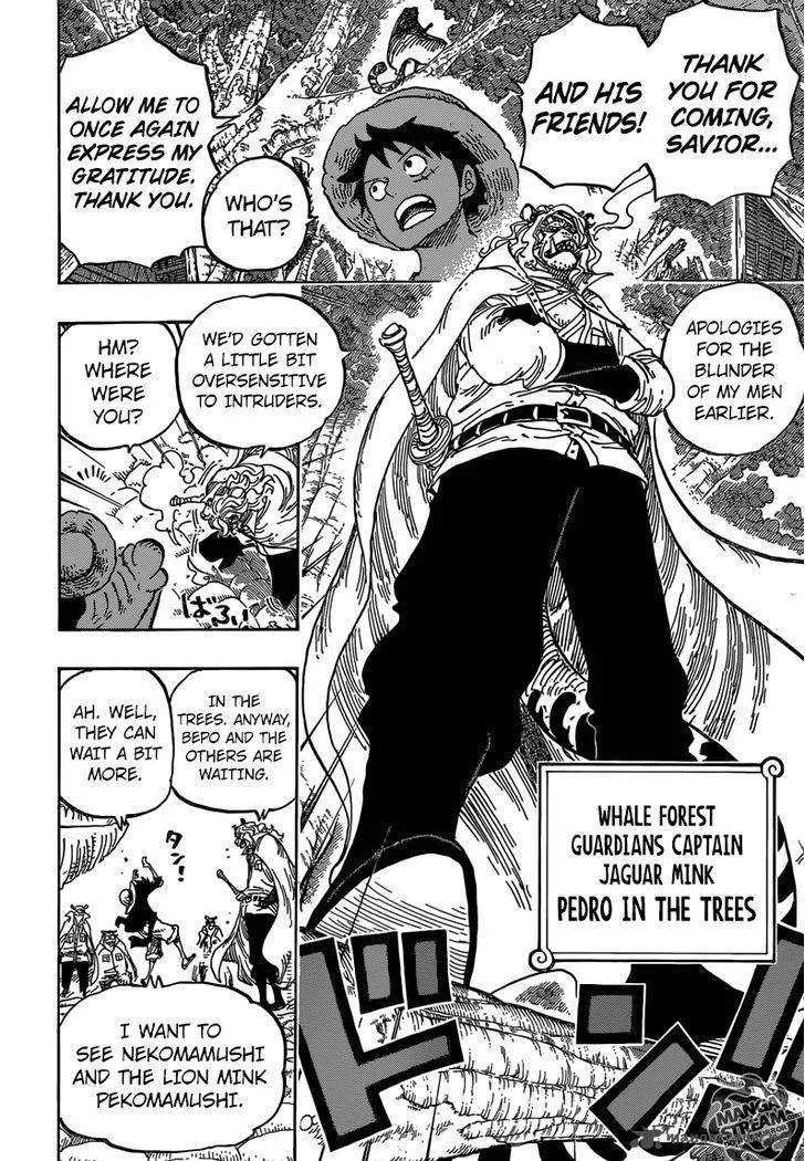 One Piece Chapter 814: Let's Go to See Master Nekomamushi – Page 13