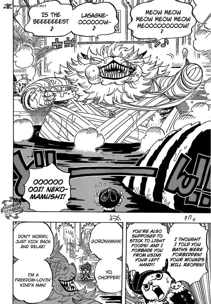 One Piece Chapter 814: Let's Go to See Master Nekomamushi – Page 15
