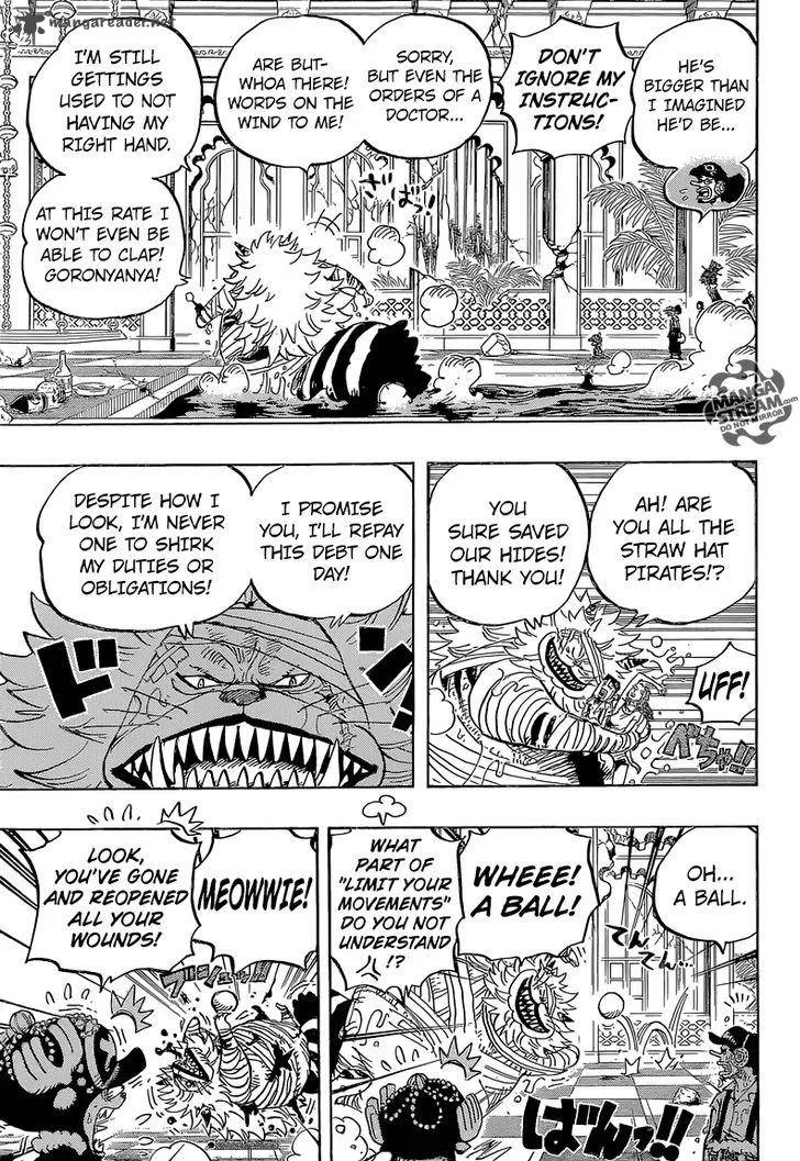 One Piece Chapter 814: Let's Go to See Master Nekomamushi – Page 16