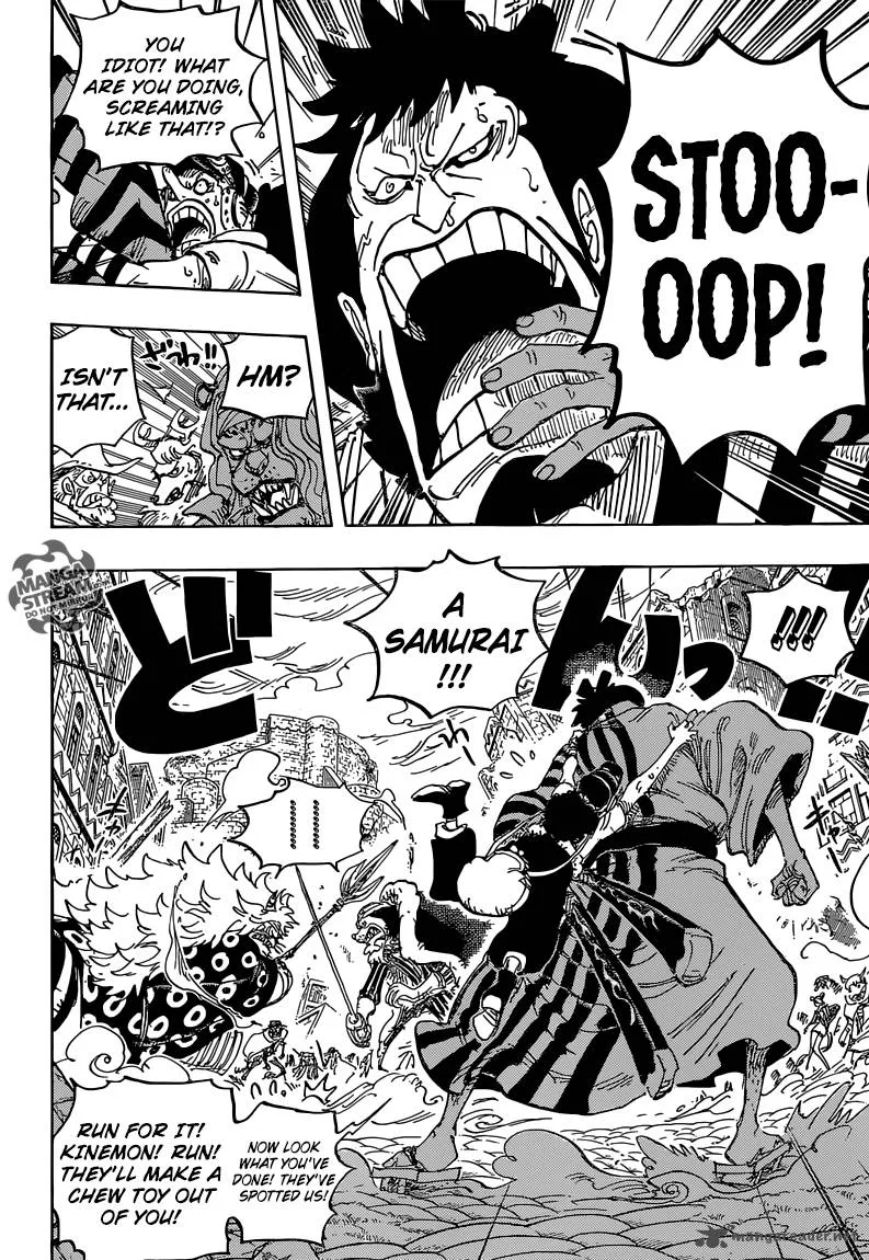 One Piece Chapter 816: Dog vs Cat – Page 14